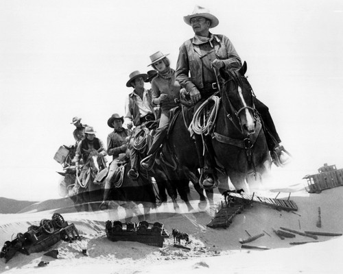 This is an image of Prints & Posters of The Train Robbers 107371