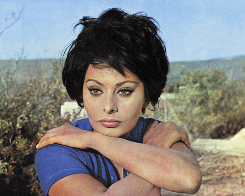 This is an image of Prints & Posters of Sophia Loren 204327