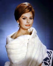 This is an image of Prints & Posters of Sophia Loren 204341
