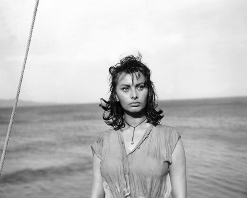 This is an image of Prints & Posters of Sophia Loren 107087