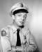 This is an image of Prints & Posters of Don Knotts 107156