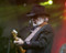 This is an image of Prints & Posters of Merle Haggard 204476