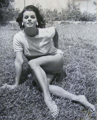 SOPHIA LOREN