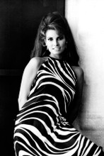 Raquel Welch in black & white striped dress 1967 model pose 8x12 inch real photo