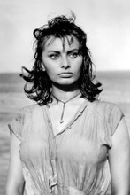 Sophia Loren Boy on a Dolphin sexy pose in wet shirt 8x12 inch real photo