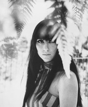 Cher classic 1960's pose in striped top 5x7 photo