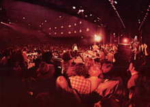 Joe Cocker on stage NY Fillmore East Mad Dogs & Englishmen 5x7 inch photo