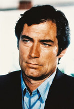 Timothy Dalton 4x6 inch real photo #32998