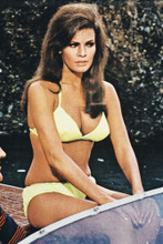 Raquel Welch vintage 4x6 inch real photo #34185