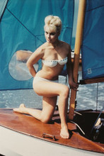 Elke Sommer vintage 4x6 inch real photo #35797