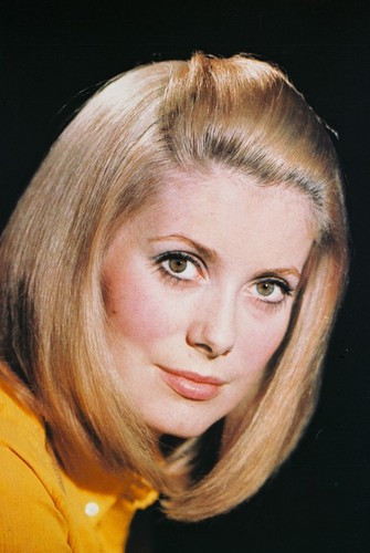 Catherine Deneuve vintage 4x6 inch real photo #39525 - Moviemarket