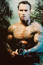 Arnold Schwarzenegger vintage 4x6 inch real photo #312232