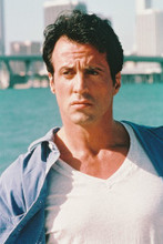 Sylvester Stallone vintage 4x6 inch real photo #317145