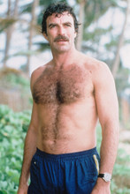 Tom Selleck 4x6 inch real photo #320395