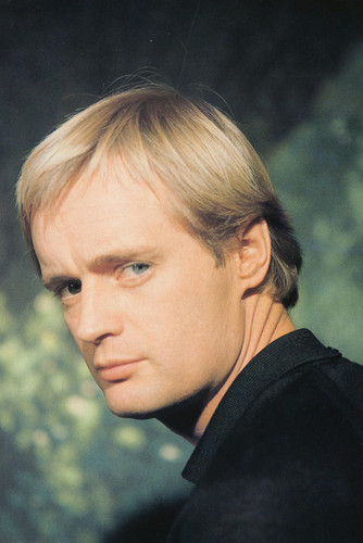 David Mccallum vintage 4x6 inch real photo #322434 - Moviemarket