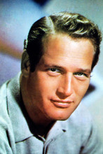 Paul Newman vintage 4x6 inch real photo #327656