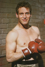 Paul Newman vintage 4x6 inch real photo #327657