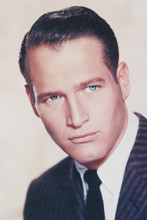 Paul Newman vintage 4x6 inch real photo #331281