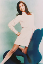 Mary Tyler Moore vintage 4x6 inch real photo #331685