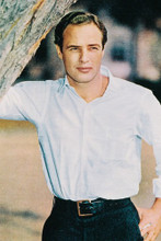 Marlon Brando vintage 4x6 inch real photo #333132