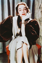 Marlene Dietrich vintage 4x6 inch real photo #333833