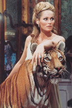 Ursula Andress 4x6 inch real photo #345346