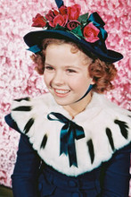 Shirley Temple vintage 4x6 inch real photo #345412