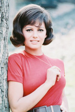 Claudia Cardinale vintage 4x6 inch real photo #346254
