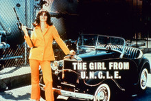 Stefanie Powers vintage 4x6 inch real photo #349215