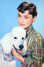 Audrey Hepburn vintage 4x6 inch real photo #362763