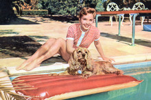 Debbie Reynolds vintage 4x6 inch real photo #362777