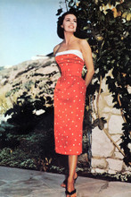 Cyd Charisse vintage 4x6 inch real photo #362821