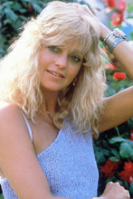 Goldie Hawn vintage 4x6 inch real photo #362883