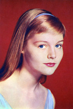 Carol Lynley vintage 4x6 inch real photo #362919