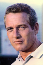 Paul Newman vintage 4x6 inch real photo #363043