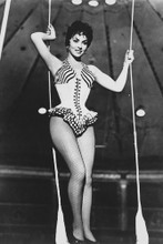 Gina Lollobrigida vintage 4x6 inch real photo #450766