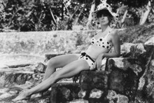 Leslie Caron vintage 4x6 inch real photo #452309