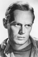 Richard Widmark vintage 4x6 inch real photo #452627