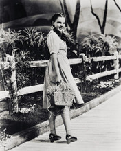 Judy Garland vintage 4x6 inch real photo #454786