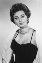 Sophia Loren vintage 4x6 inch real photo #455983