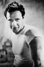 Marlon Brando vintage 4x6 inch real photo #461114