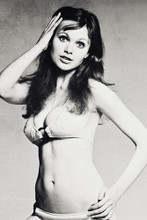 Madeline Smith vintage 4x6 inch real photo #461401