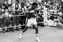 Muhammad Ali vintage 4x6 inch real photo #462762