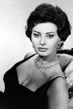 Sophia Loren vintage 4x6 inch real photo #462859
