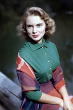Janet Leigh, Beautiful rare pose circa late 1940's, stunning quality 4x6 photo