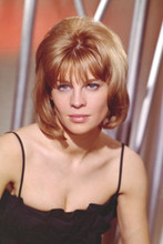 Julie Christie, Stunning sexy pose 4x6 photo