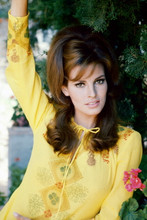 Raquel Welch, stunning 1960's portrait in yellow dress 4x6 photo