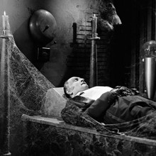The Munsters Al Lewis as Grandpa asleep in his cobweb strewn bed 12x12 photo