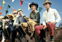 Stay Away Joe Elvis Presley L.Q. Jones and cowboys on fence 12x18 poster