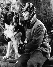 Call of the Wild Clark Gable with Saint Bernard dog 12x18  Poster